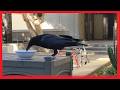 raven 🐦⬛💫 EATS from bowl