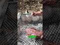 Perfect Steak Grilling: Master the Heat and Enjoy Every Bite! #shorts