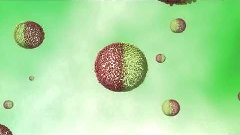 Route to fabricating Janus shells - Pickering emulsion droplet