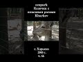 █ ЭкоПарк Харьков ч.66 / КОЗОЧКА с плоскими рожками / 2018 г  #shorts