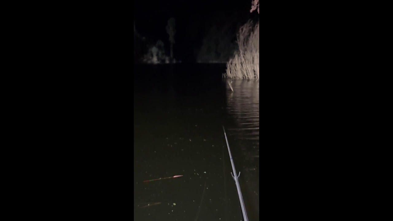 Exploring New Fishing Spots Live｜未知の釣り場を探るライブ｜探索未知的渔场｜ 2026-01-21 