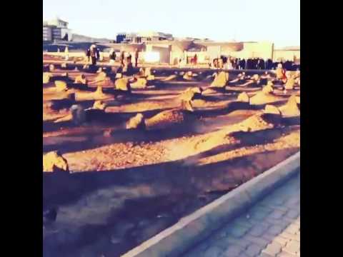 هنا يرقد صحابة رسول الله صل الله عليه وسلم