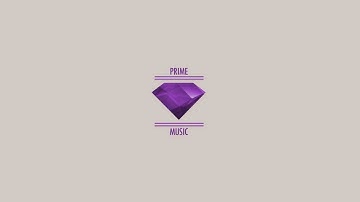 Prime Intro Design
