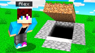 Minecraft Survival