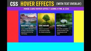 CSS Hover Effects Tutorial | Image Card Hover Effect Using HTML & CSS