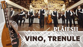 Plăieșii - Vino, trenule | extras de pe albumul \