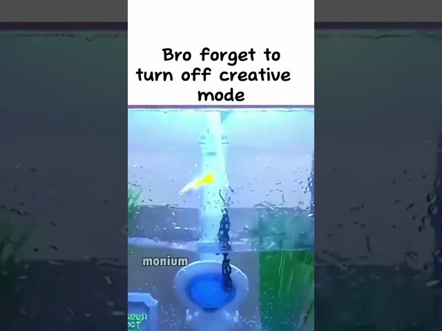 Bro forgot to turn off creative mode!!💀💀 #fish #memes #funny #water class=