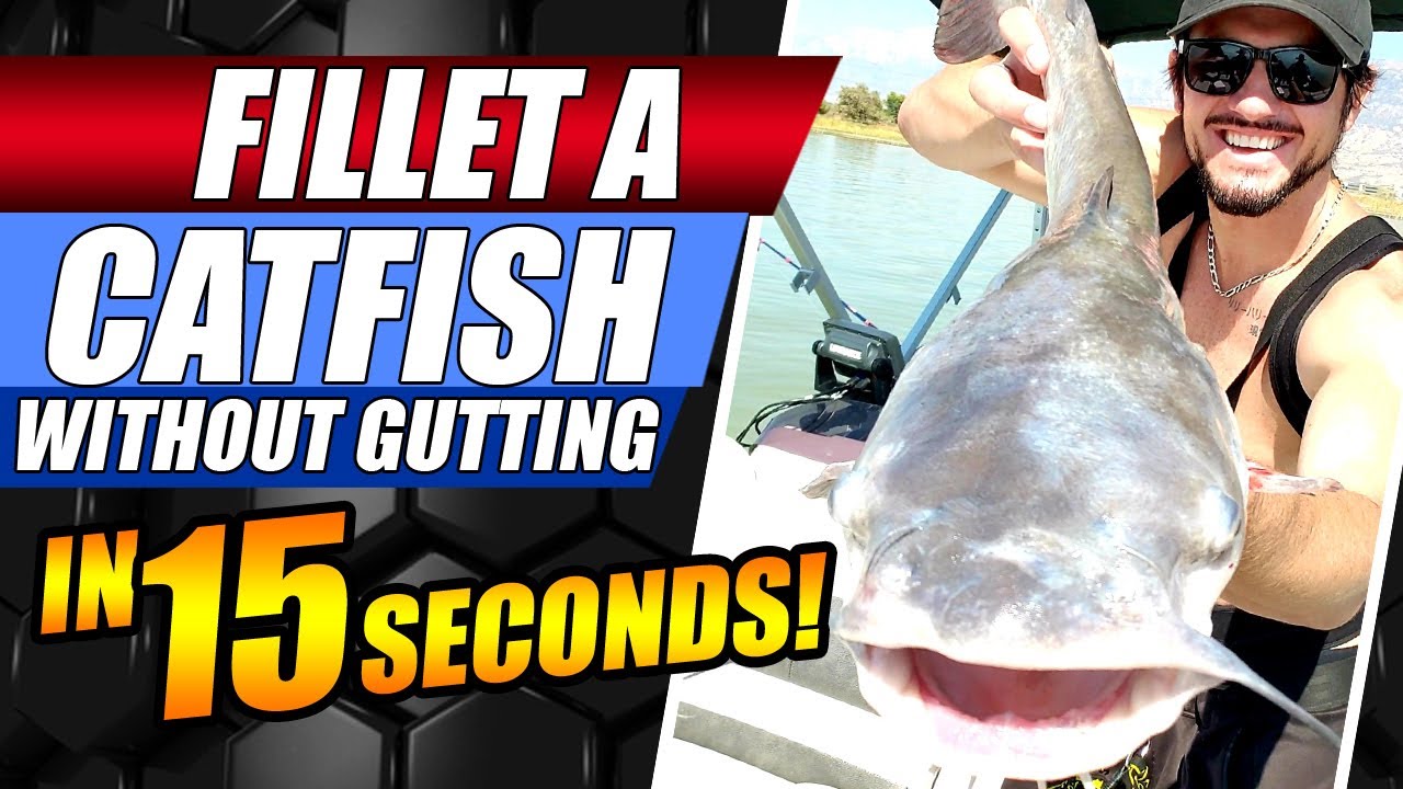 Fillet a catfish in 15 seconds Fillet a catfish without gutting the