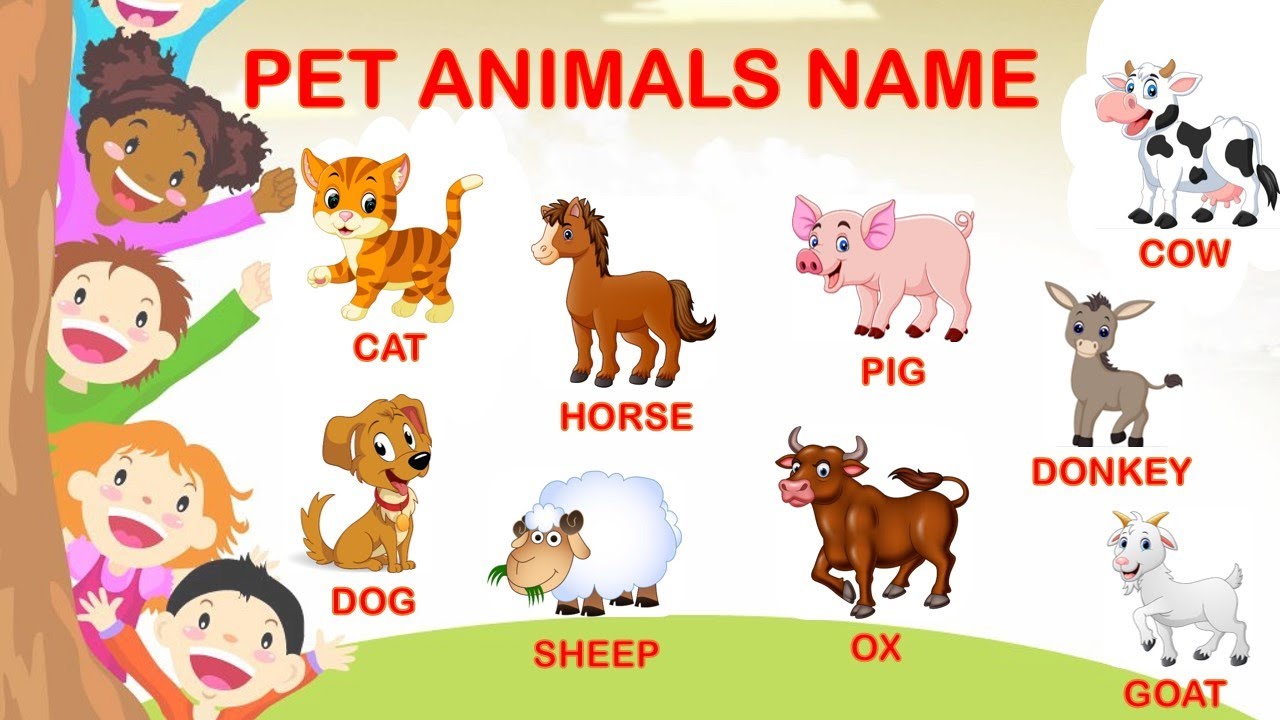 Learn Pet Animal Name in English with spelling | Domestic Animals with  picture | Farm Animals Name - YouTube