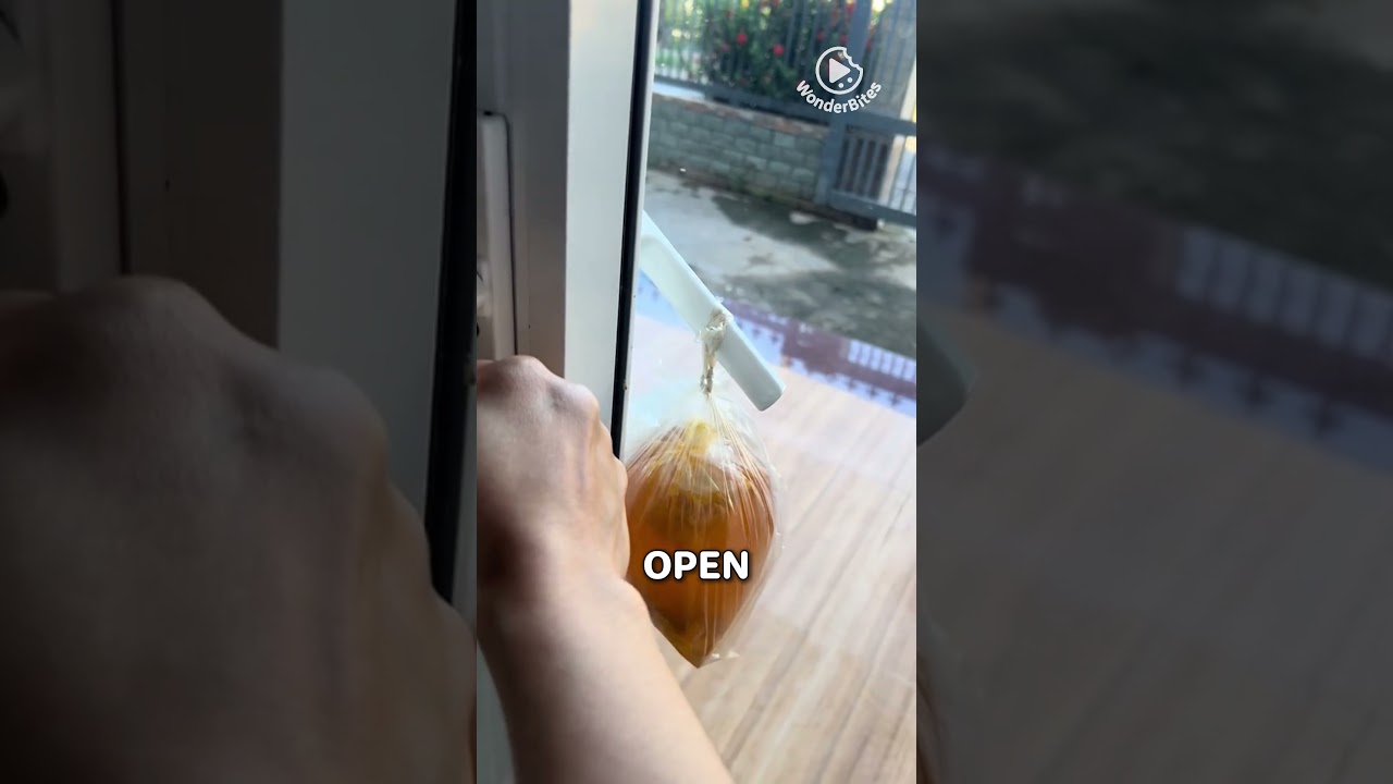 Delivery Fail? How Would YOU Grab This Food?