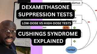 DEXAMETHASONE SUPPRESSION TESTS EXPLAINED | CUSHING SYNDROME | MEDICINE