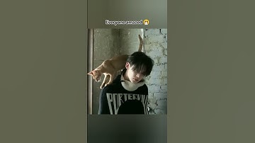 [TXT] the cat said "let