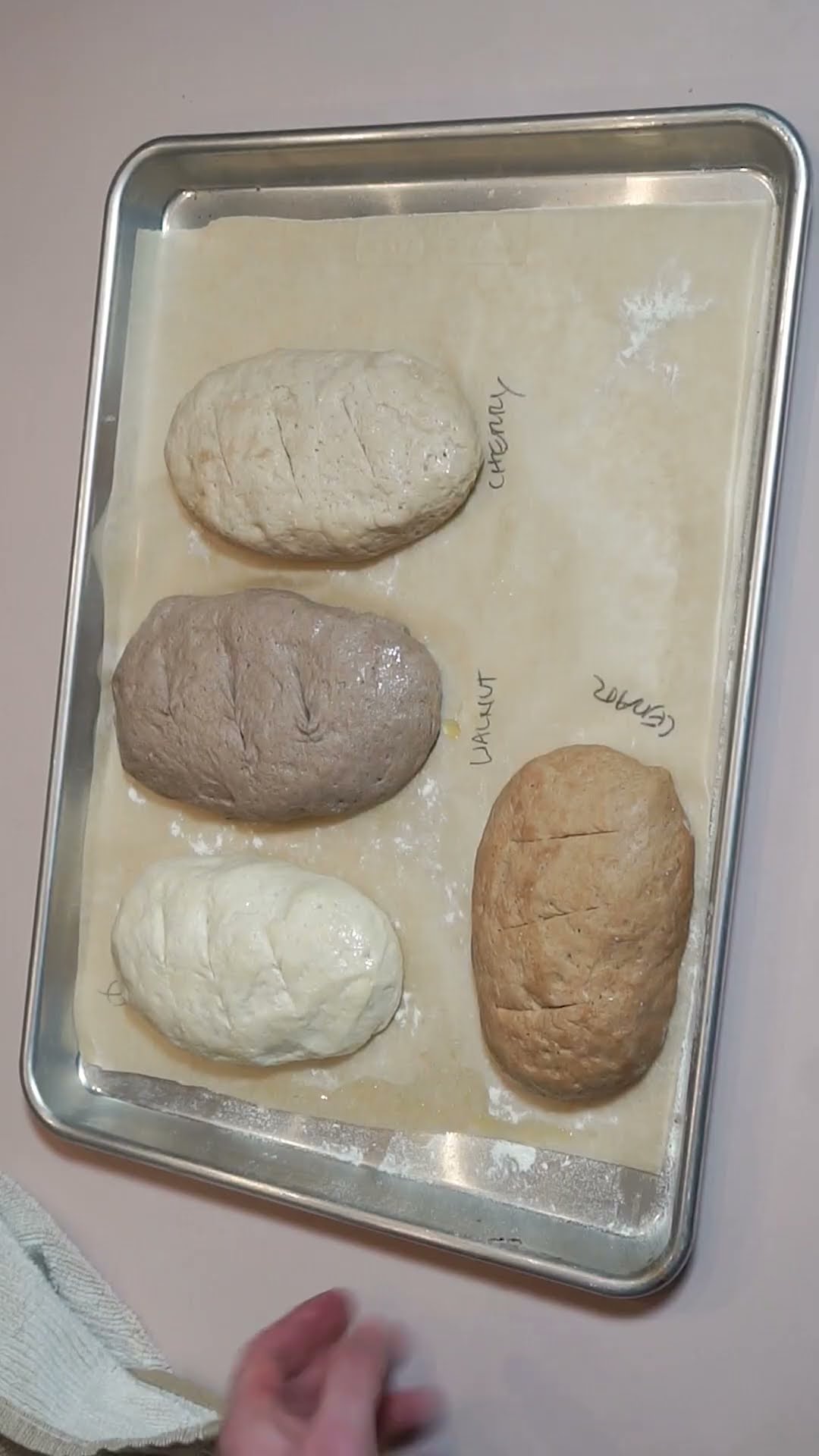 Blind Taste Testing Sawdust Bread #tastetest #wood
