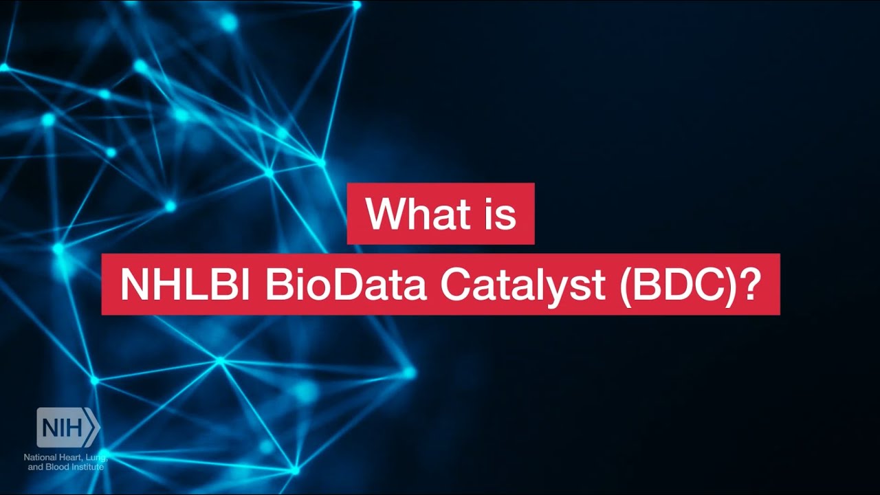 What Is Bdc Program In Sap