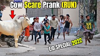 Most Viral Cow Scare Run Pranks | EID Special 2022