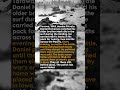 A Marine Polished His Brother's Boots 800 Times in the Pacific #short #history #ww2