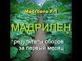 Огурец Мадрилен ( месяц сборов)