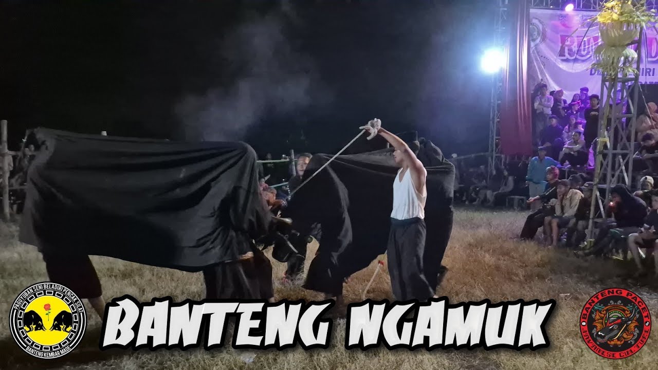 Banteng Kembar Live Nono Kemiri Pacet || Ruwah Dusun Nono (Bantengan)