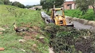 Retroescavadeira limpando córrego. (Backhoe cleaning stream)