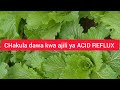 MAMBO 2 YA CHAKULA DAWA AMBACHO NI TIBA YA ACID REFLUX