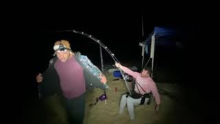 Land Based Shark Fishing Australia 2021