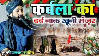 Karbala ka Behad Dard Naak Khooni Manzar 🥹 Sunkar Jism Kanp Jayga || Mufti Hammad Raza Muradabadi