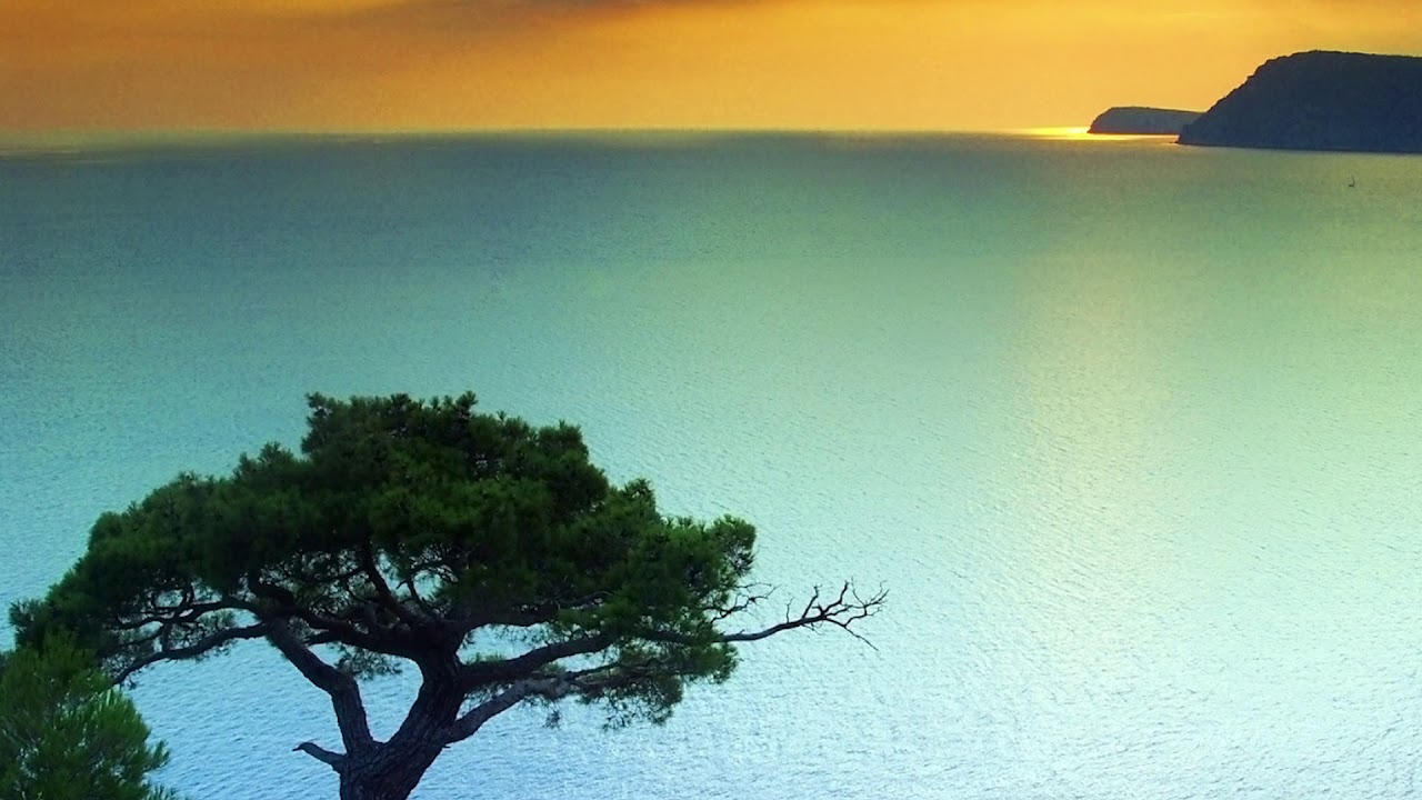 Isma Serrano - Processing [Automatic Behaviour LP, antiritmo 