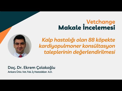 Video: Köpeklerde Kalp Hastalığı (Hipertrofik Kardiyomiyopati)