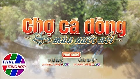Nhịp sống đồng bằng: Chợ cá đồng mùa nước nổi | Trailer