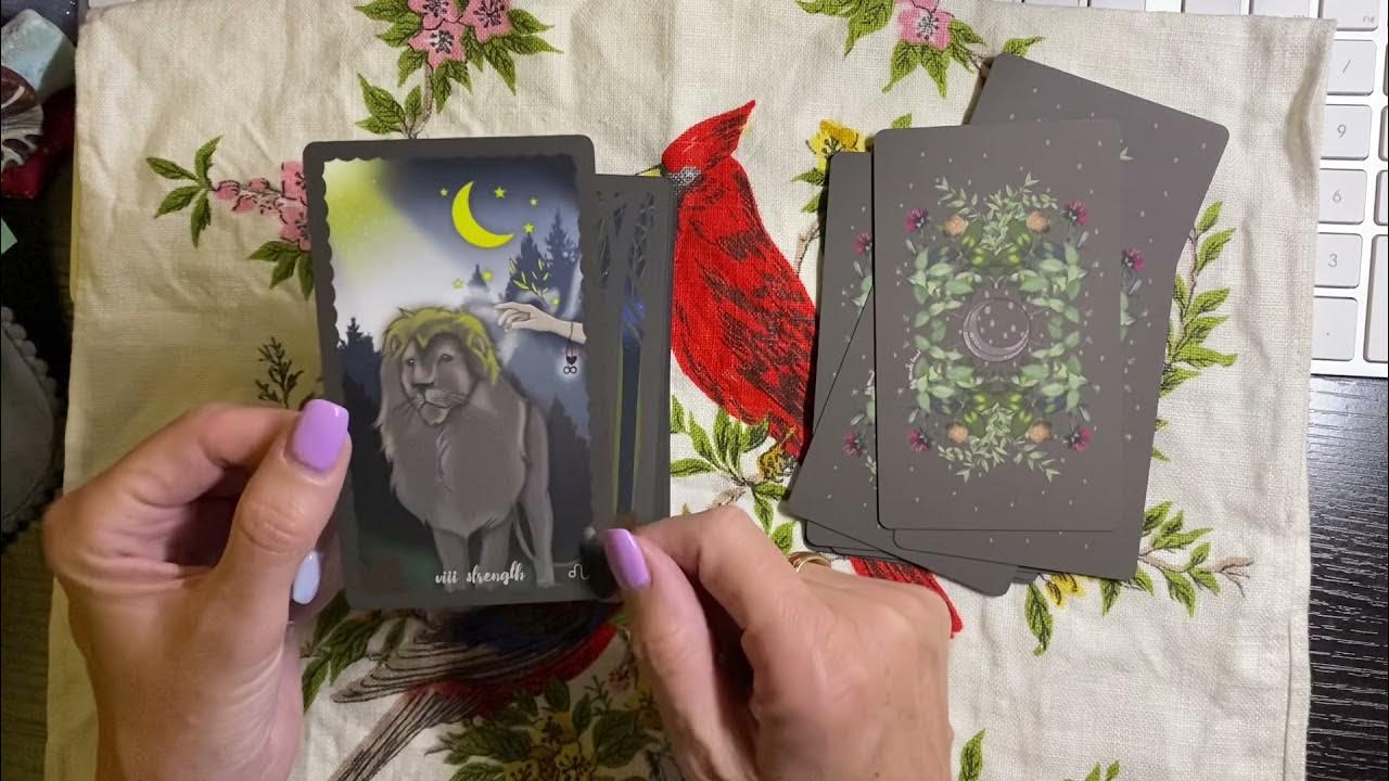 Kickstarter walkthrough of The Meraki Tarot by Kerri Snook/Bouchette