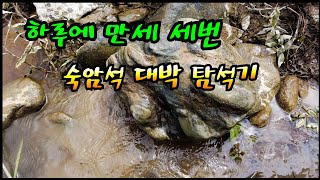 하루에 만세 세번 숙암석 대박 탐석기