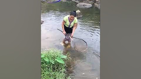 shorts ai mứng ơi khăm cóng kín pả nóng son #mientayxunghe shorts