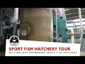 William Jack Hernandez Sport Fish Hatchery Tour