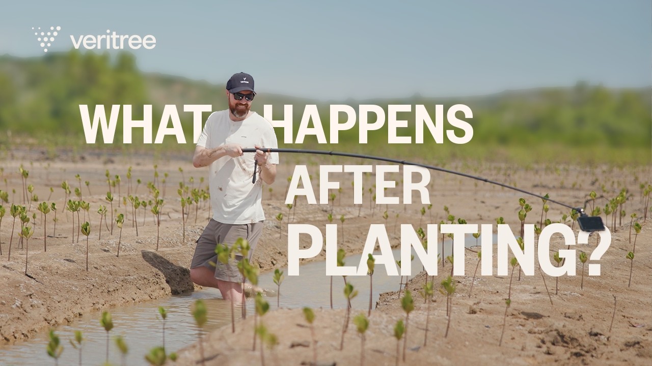 What Happens After the Planting? The Future of Survivability Plots