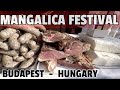 Mangalica Festival Budapest Hungary Hungaricum