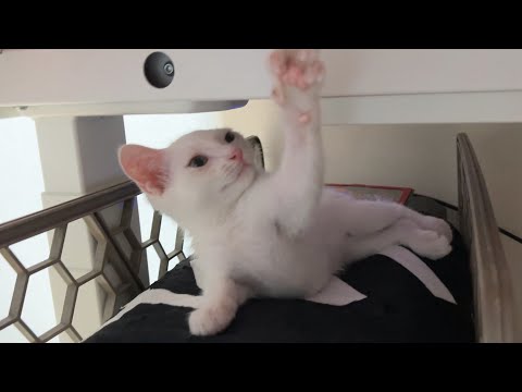 이 컴퓨터는 이제 제 겁니다.