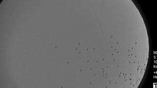High-Speed Shadowgraph of 12 gauge Part 3 of 3
