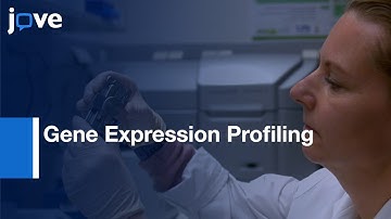 Gene Expression Profiling by High Quality Transcriptome Data | Protocol Preview