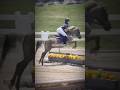 He helped teach me… #horse #horseriding #equestrian #riding #jumping