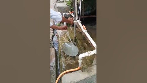 condom VS water 🤣💦