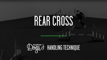 Rear Cross Agility Handling Technique