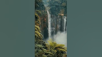 إن الله وملائكته يصلون على النبي||تلاوة خاشعة //بصوت القارئ صالح اليافعي⏱️ثواني عظيمة 🎧🤍🌿