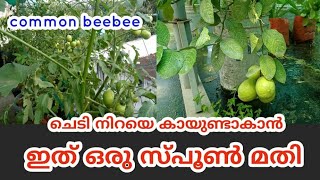 Microfood ചെടികളിൽ കായും പൂവും ഉണ്ടാകാൻ