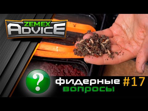 ВСЁ О ФИДЕРЕ / ОТВЕТЫ НА ВОПРОСЫ / ZEMEX Advice