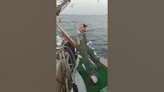 لحظة إلقاء الشبكة لصيد السمك🐟☠️