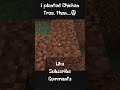 Chicken Tree  #minecraft #herobrinegamerz #viral #memes #herobrine #funny #shortsvideo #gaming