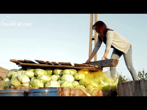 Making Sour Cabbage - ROMANIAN Local Sauerkraut in HUGE Wooden Barrels hqdefault