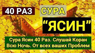 🔊 Сура 