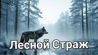 :  :     