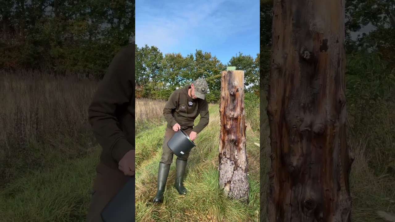 Ny foderplads anlagt 🦌 – se hvor hurtigt vildtet fandt den! | Hunting Care